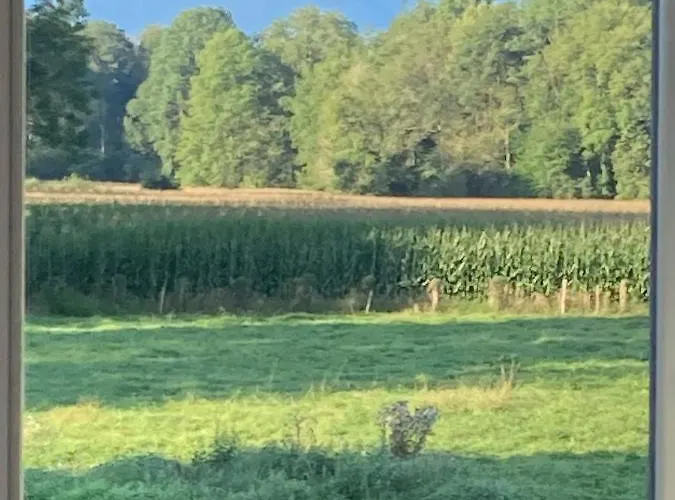 Maison Paisible Au Coeur Des Pyrenees